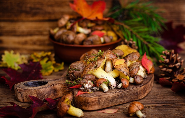 Setas comestibles de otoño. Alimentos orgánicos. Setas aceitosas crudas frescas en el espacio de madera rústico. Enfoque selectivo.