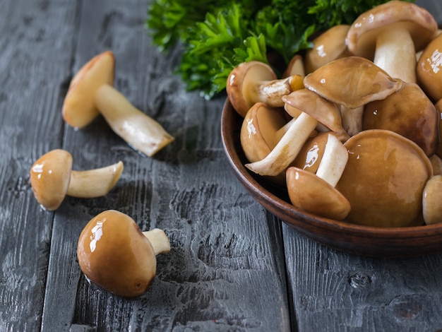 Setas en un cuenco de barro decorado con hojas de perejil sobre mesa oscura. Cocina vegetariana natural.