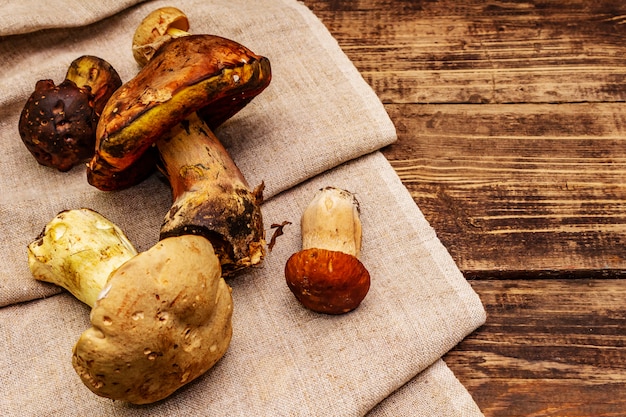 Setas frescas del bosque. Surtido de boletus y boletus gourmet