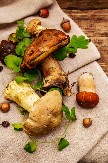 Setas frescas del bosque. Surtido de boletus y boletus gourmet