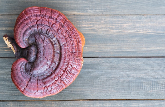 Foto setas ganoderma lucidum en una mesa de madera