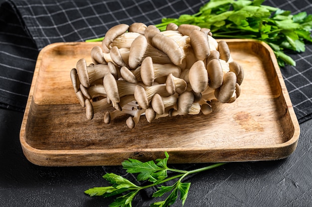 Setas de ostra crudas en un tazón de madera con perejil. Alimentos orgánicos. Vista superior.