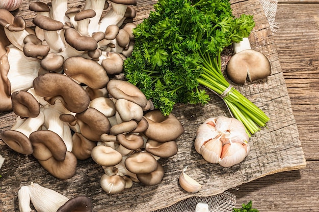 Setas de ostra listas para cocinar Especias de perejil fresco y ajo Sombras oscuras de luz dura de moda vista superior de fondo de madera vieja