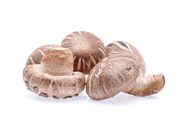 Setas shiitake