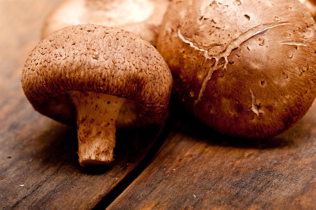 Setas shiitake