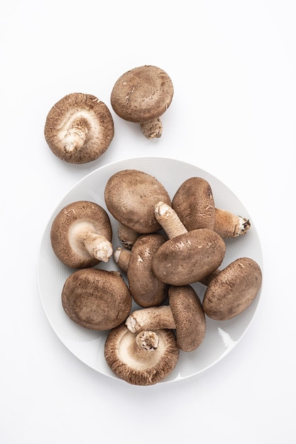 Setas shiitake