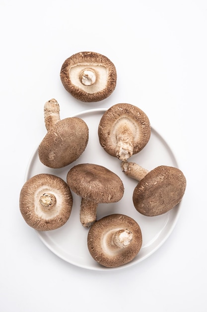 Setas shiitake