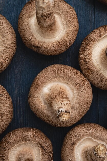 Setas shiitake