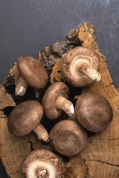 Setas shiitake