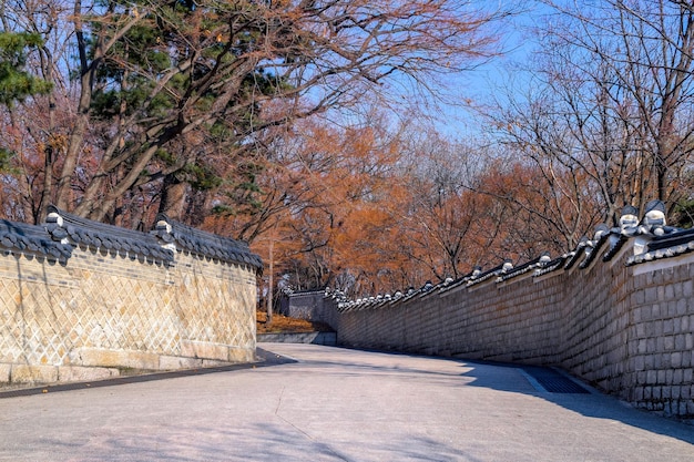 SeúlCorea del Sur 1122020 Changdeokgung es el mejor conservado de los "Cinco Grandes Palacios" de la Dinastía Joseon Esta imagen es del jardín secreto Huwon detrás del palacio en Seúl Corea