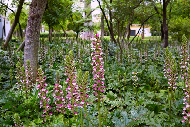 sevilha maria luisa park jardins espanha