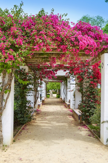 Sevilha maria luisa park jardins espanha