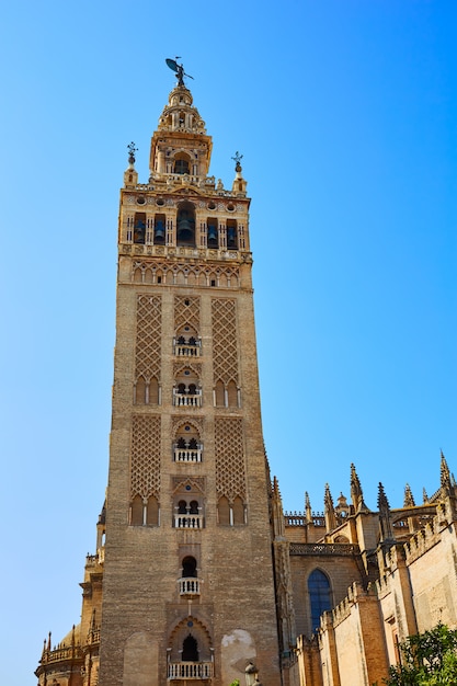 Foto sevilla catedral torre giralda sevilla españa