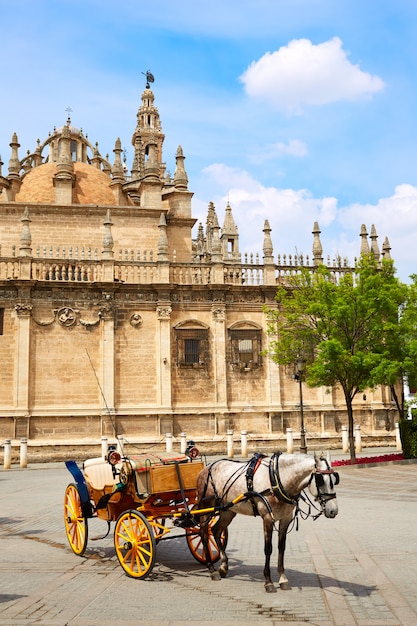 Sevilla-Kathedralenfassade von Sevilla Andalusia