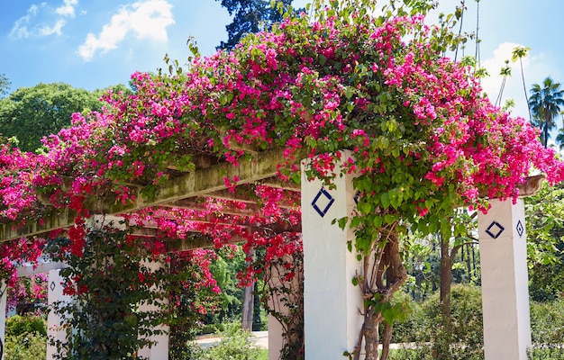 sevilla maria luisa parque jardines españa