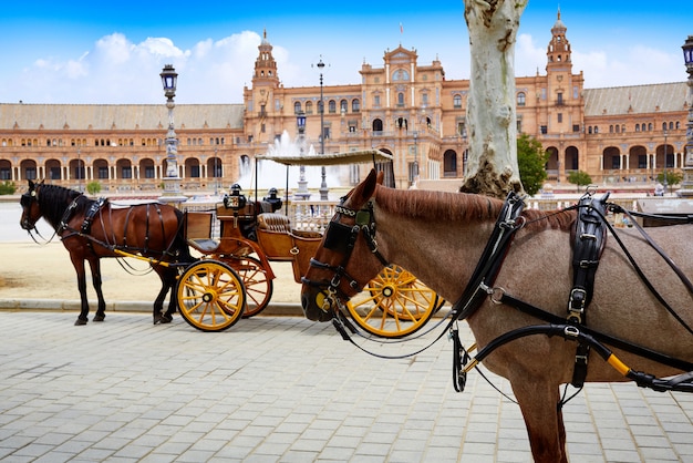 Sevilla Plaza de Espana Andaluzia Espanha