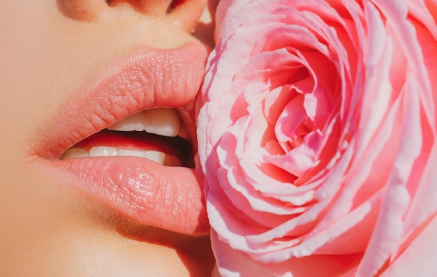 Sexy Frau Lippen mit rosa Lippenstift und schöne rosa Rose Lippen mit Lippenstift Nahaufnahme Schöne Frau Lippen mit Rose