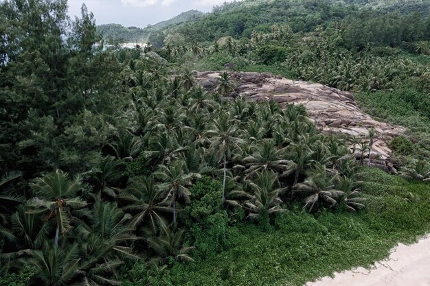 seychelles