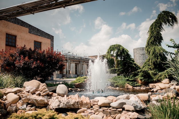 Shabo, Ucrânia - 29 de junho de 2021: pequeno jardim na vinícola Shabo, região de Odessa, Ucrânia