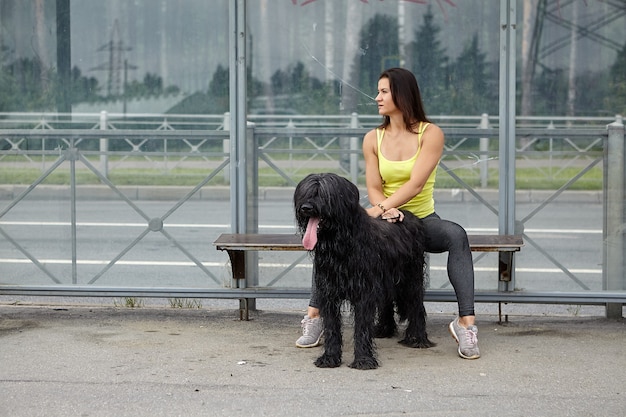 Shaggy schwarzer Briard Hund und Besitzerin sitzen auf Haltestelle der öffentlichen Verkehrsmittel, während sie auf Straßenbahn auf Stadtstraße warten.