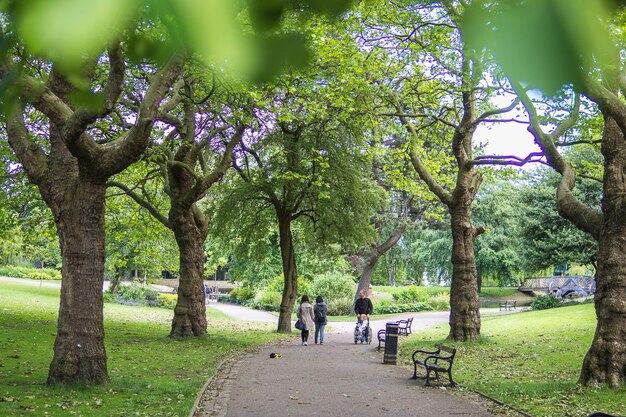 SHEFFIELD UK JUN09 2017 Menschen gehen und entspannen im Garten in der Nähe der Sheffield University UK