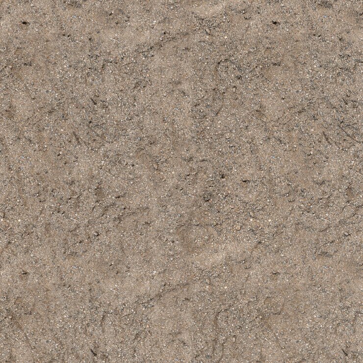 Foto shell-boden mit vielen kleinen shell-hintergrundtexturen, draufsicht auf die shell-bodentextur