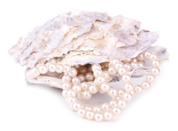 Shell con perlas aislado en blanco