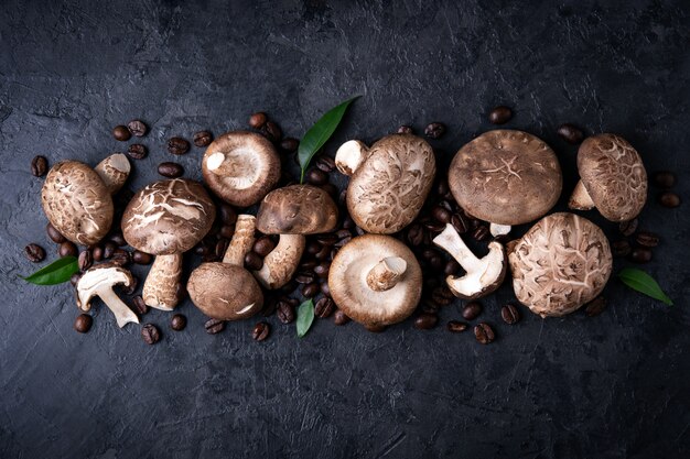 Shiitake cresce rapidamente com grãos de café em um fundo escuro.