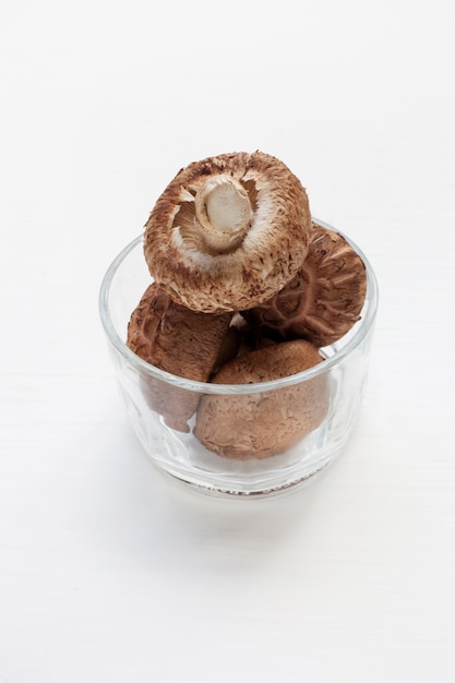 Shiitake-Pilze isoliert