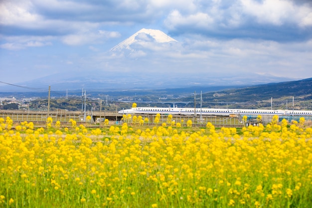 Shinkansen und Fuji Hintergrund