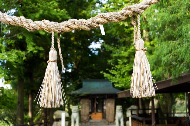 Shinto-Symbolseil aus Reisstroh im Tempel