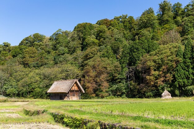 Shirakawa-go Pueblo antiguo histórico