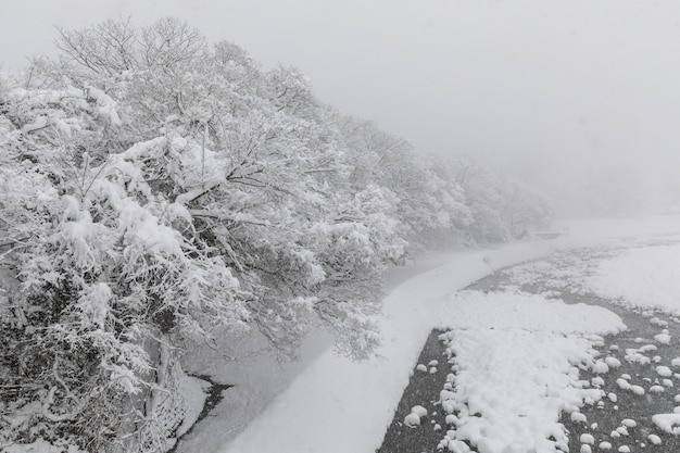 Shirakawa ir temporada de nieve Japón