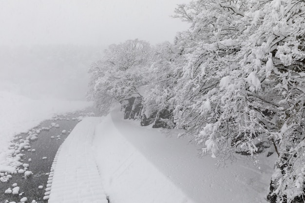 Shirakawa ir temporada de nieve Japón