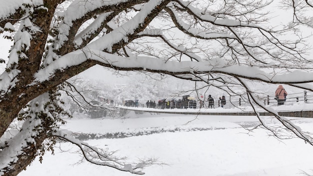 Shirakawa ir temporada de nieve Japón