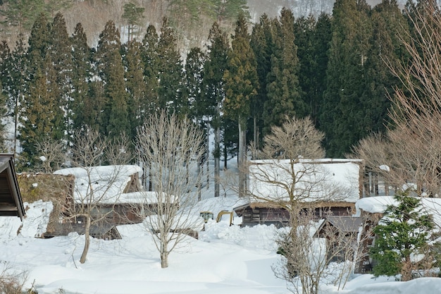 Shirakawago, historisches Winterdorf Japans.