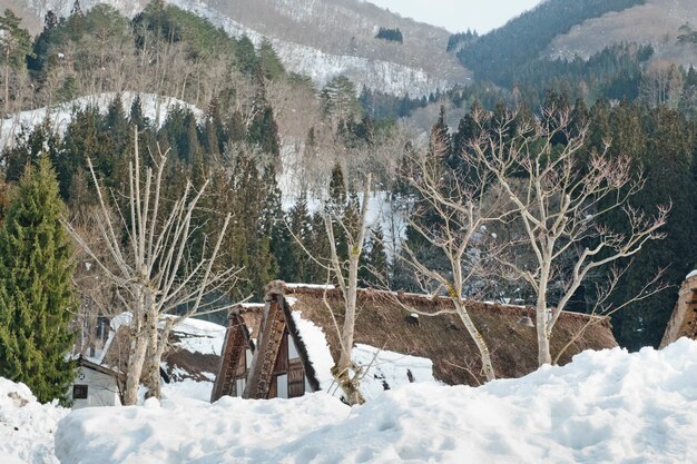 Shirakawago, historisches Winterdorf Japans.