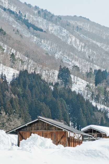 Shirakawago, historisches Winterdorf Japans.