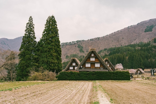 Foto shirakawago en primavera prefectura de gifu japón