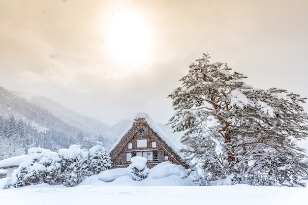 Shirakawago con sol nieve