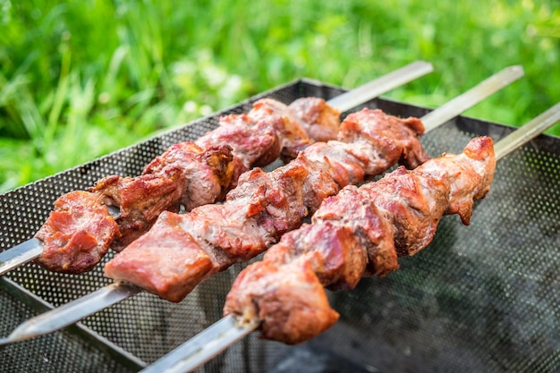 Shish kebab en brochetas de metal picnic al aire libre