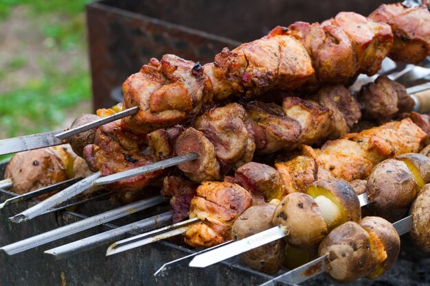 Shish kebab carne frita en brochetas