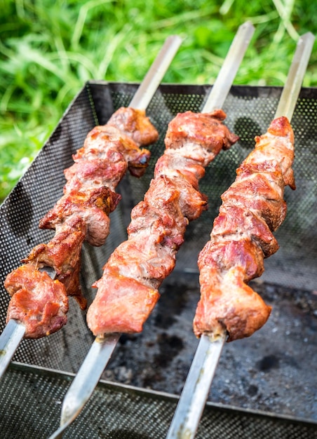 Shish kebab em espetos de metal piquenique ao ar livre