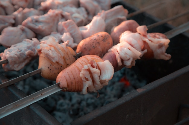 Shish kebab frito en la parrilla. Shish kebab de cerdo frito en una parrilla de brocheta en el parque