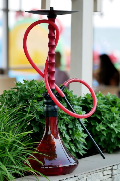 Foto shisha cachimba turca roja sobre fondo verde