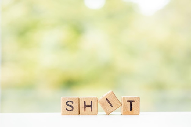 Shit-Wort wird auf Holzwürfeln auf grünem Sommerhintergrund geschrieben Nahaufnahme von Holzelementen
