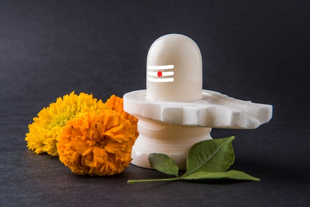 Shiva Linga decorado con flores y bel patra u hoja y haldi kumkum para Pooja o adoración del Señor shiva o Shankar bhagwan