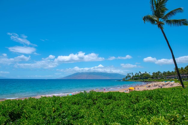 Shore dream tranquilidad vista panorámica del paisaje de la playa en la isla hawaiana de maui