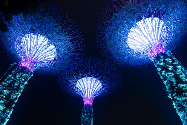 Show de Super Trees Grove en Gardens by the Bay durante la noche