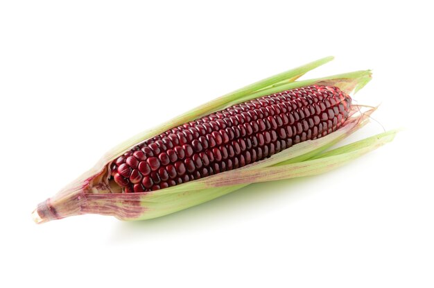 Siam Ruby Queen Corn isolado no branco